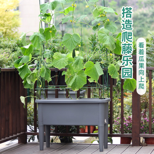 新款矮脚亲子种植盆庭院长方形特大口径高深度菜盆家庭绿植种植箱