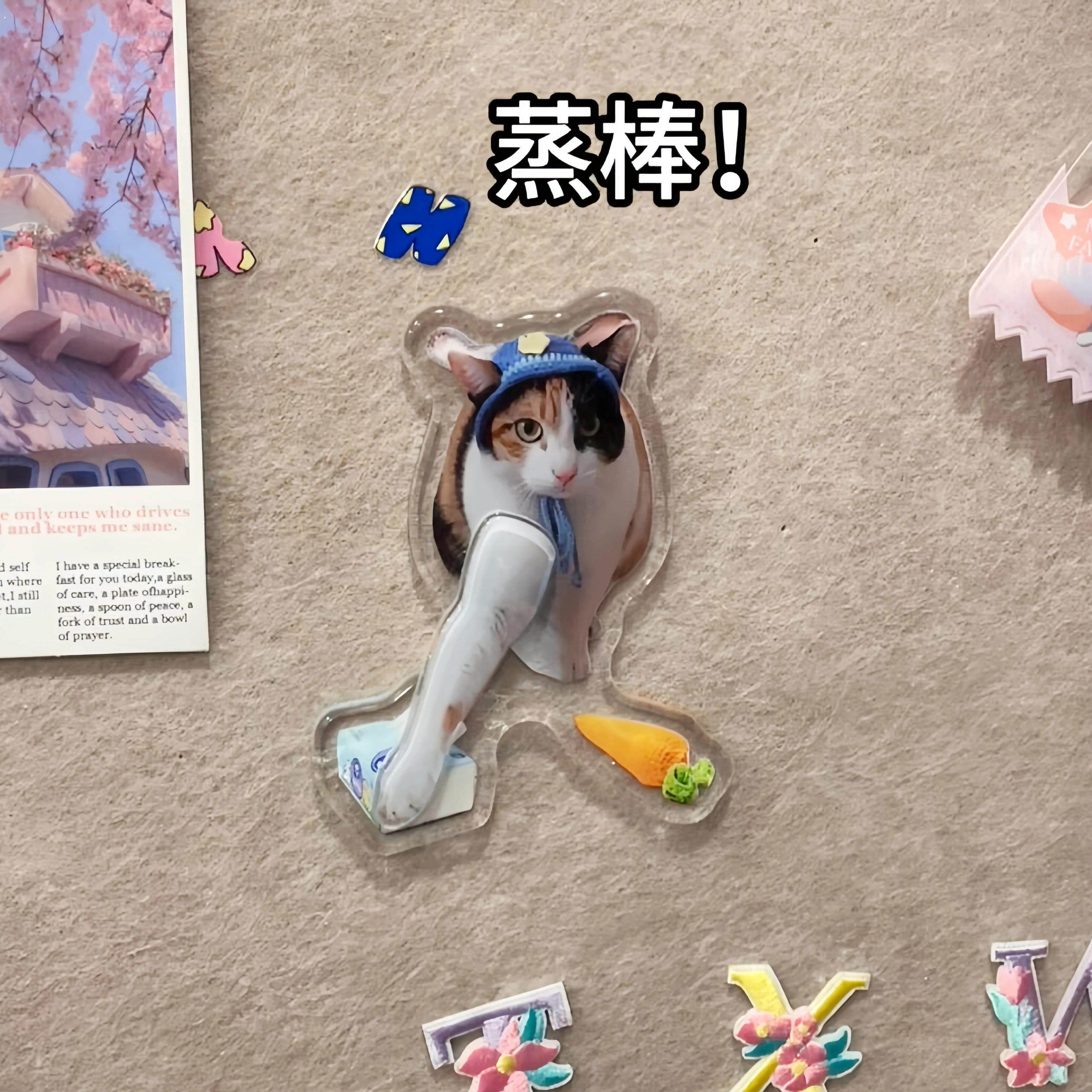 罗卜纸巾猫咪压克力冰箱贴大笨猫磁吸旋转冰箱装饰创意抽象摆件