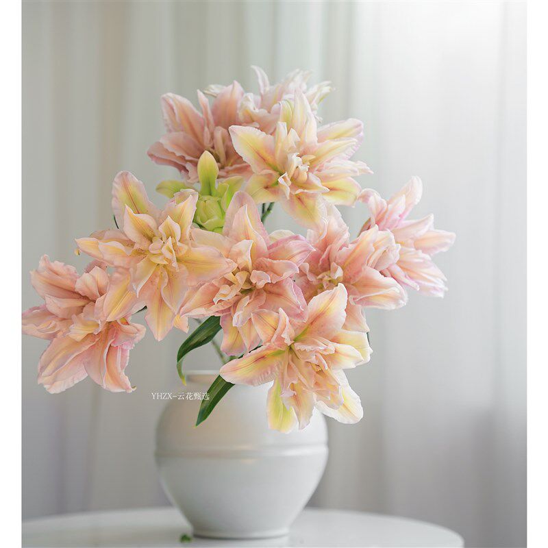【云花甄选】萨拉重瓣百合清新空气花期久鲜花中式玄关装饰有香味