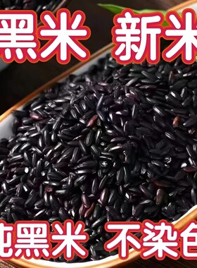 东北黑米当季新货颗粒饱满无染色五谷杂粮精选黑米可主早餐粥