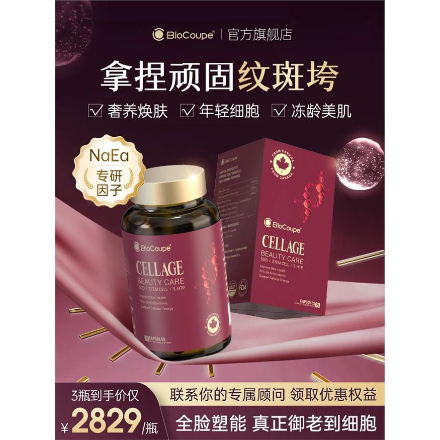 加拿大苹果干小分子细胞
