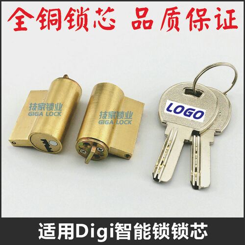 适用Digi第吉尔锁芯智能锁锁芯锁头指纹锁锁芯电子门锁芯技家锁业