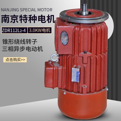 南京特种电机 ZDR112L2-4 3.0KW锥形绕线转子三相异步滑环电机