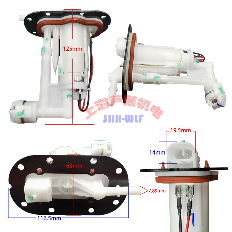 电喷配件适用于隆鑫500摩托车汽油泵总成 PW3031C 隆鑫650总成