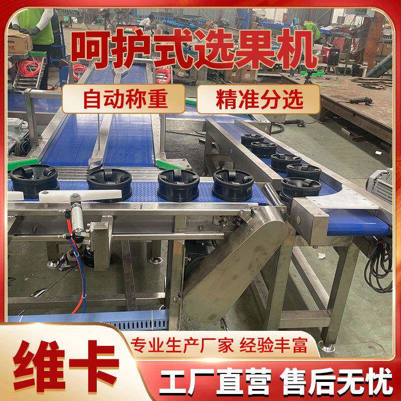 草莓梅称重分选机糖度霉芯测水果西检红杨柿秋月梨内部分级机