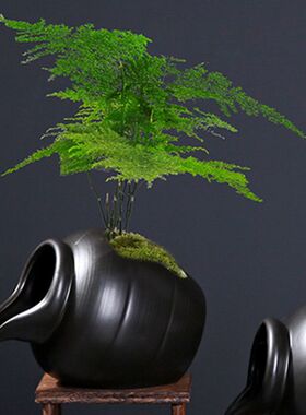 罐瓷材质鱼缸流水陶 古风古法陶罐养鱼罐花盆水培水缸鱼池水循环