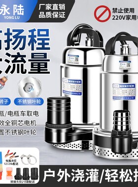 12v超大功率直流抽水泵24V48VV用60通72伏电瓶水泵农用灌溉潜水机