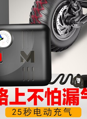 电瓶车电动家充气泵V8V60472V通用真空胎打气筒车用打气泵便携式