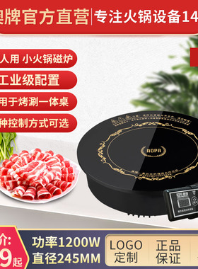 AO2A澳牌H5炉型火锅电磁炉圆形迷你嵌入式商用酒店火锅小1P00W