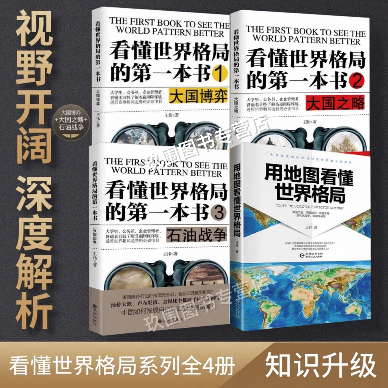 看懂世界格局系列书籍全4册图片