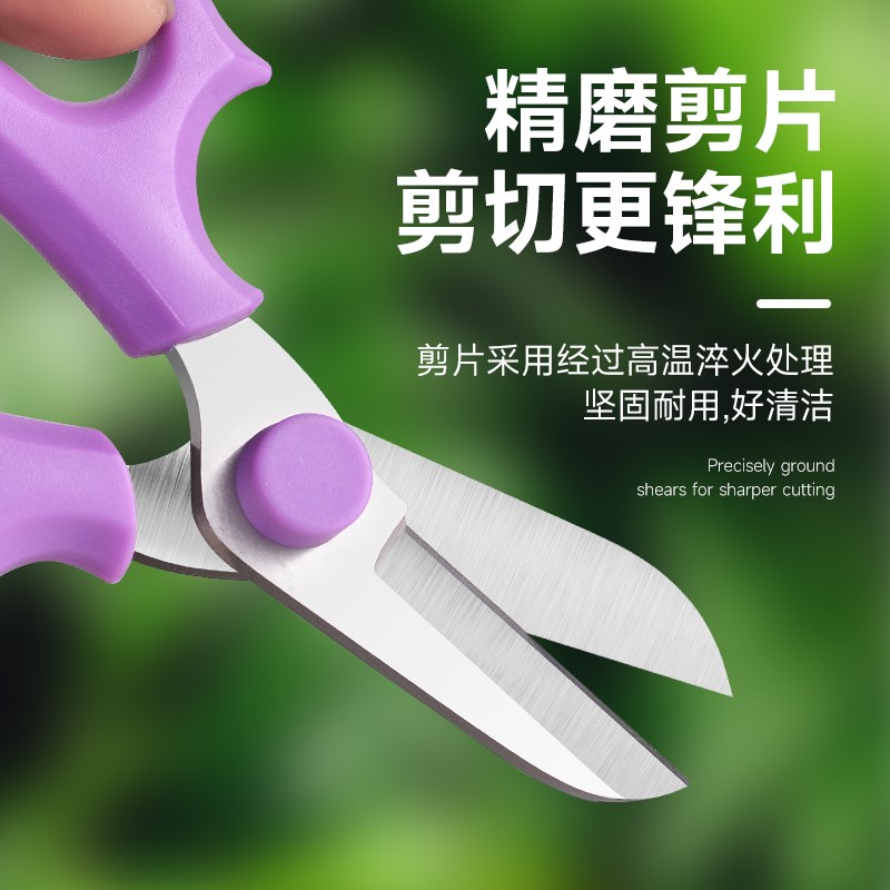剪花专用剪刀花艺园艺剪修花修枝花店专用修剪花卉家用鲜花插花剪图片