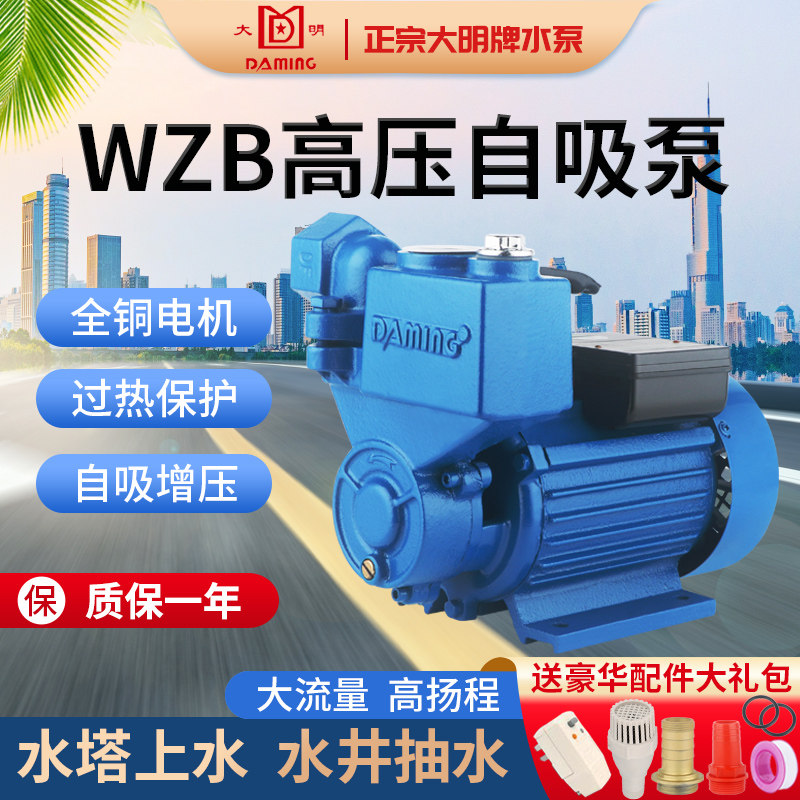 正宗大明牌自吸泵家用管道增压泵循环泵自来水热水器增压泵抽水泵