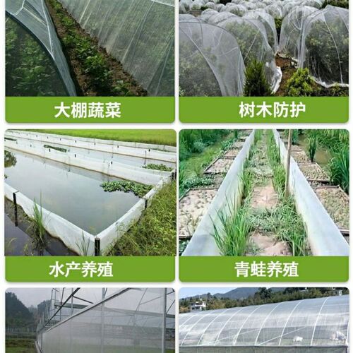大棚防虫网果树果园网罩蔬菜植物防护网养猪场防蚊虫网拱棚网加厚
