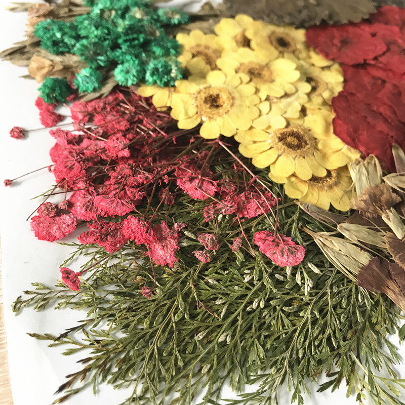 压花花材包260朵 押花花材包 押花材料 滴胶乾燥花DIY手工一件包