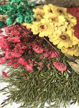 压花花材包260朵 押花花材包 押花材料 滴胶乾燥花DIY手工一件包