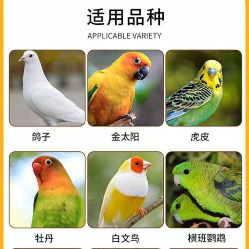 红花子鹦鹉粮鸟粮饲料红花籽白瓜子仓鼠食鸟食油葵虎皮玄凤零食22