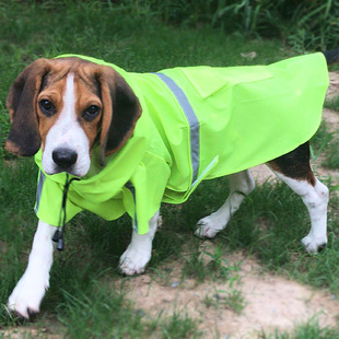 宠物狗狗雨衣防水服中型大型犬金毛萨摩柴犬雨天衣服两脚防水雨披