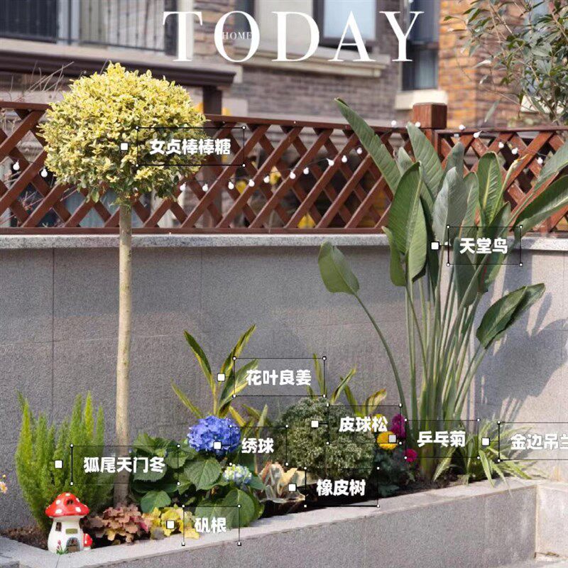 花镜定制阳台花园庭院花境整体设计组合露台景观造景布置四季常青