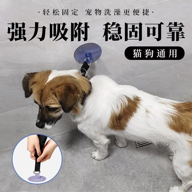 猫咪洗澡固定器宠物猫咪狗狗剃毛剪指甲防挣脱神器防跑防抓咬用品图片