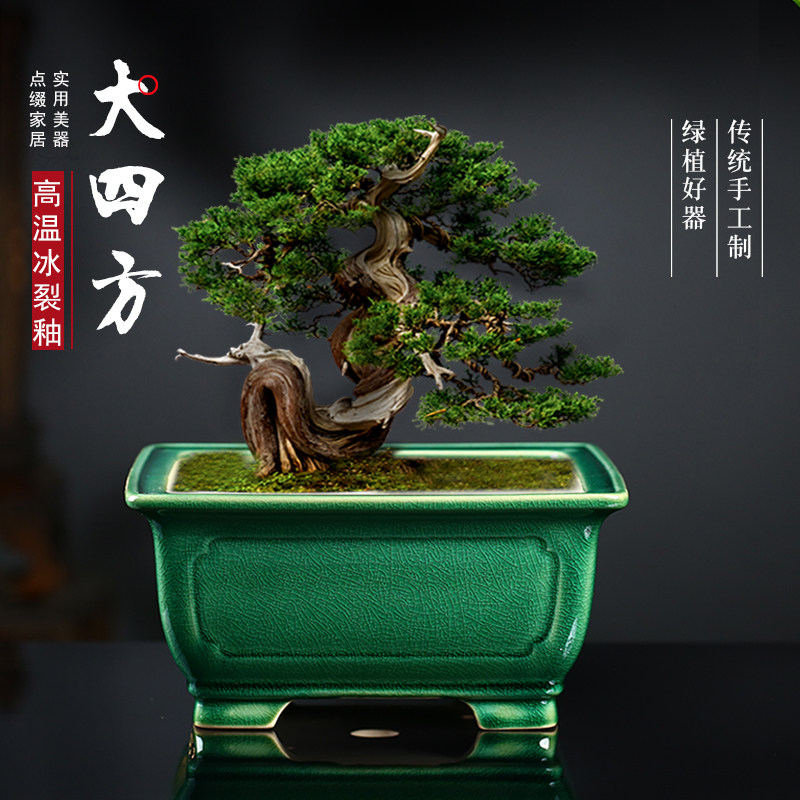 紫砂花盆精品四方盆景盆大口径多肉兰花盆栽陶盆新款石湾冰裂釉