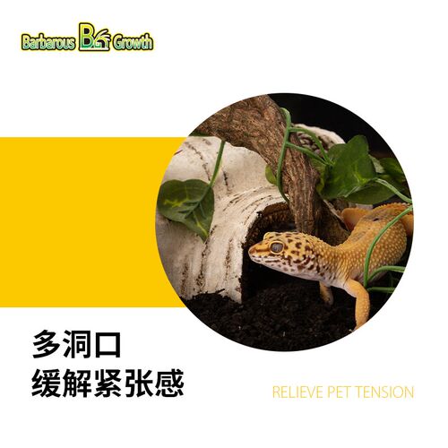 爬虫躲避饲养箱蛇缸造景蜥蜴守宫躲避屋爬宠攀爬洞穴角蛙躲避洞