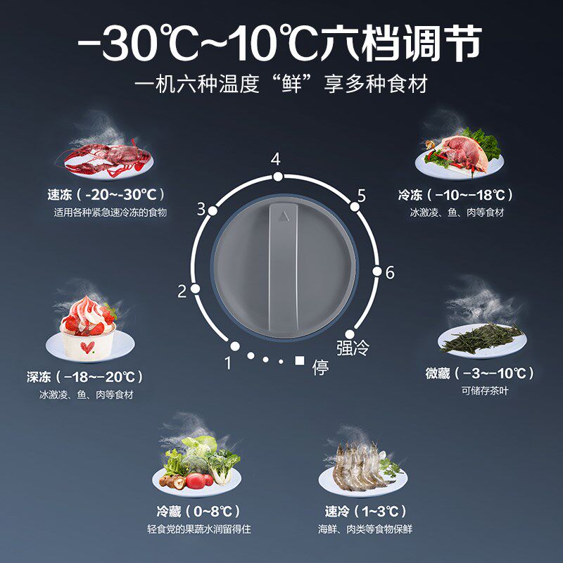 星星冰柜家用商用205/305L小型减霜冰箱冷藏冷冻铜管一级能效冷柜