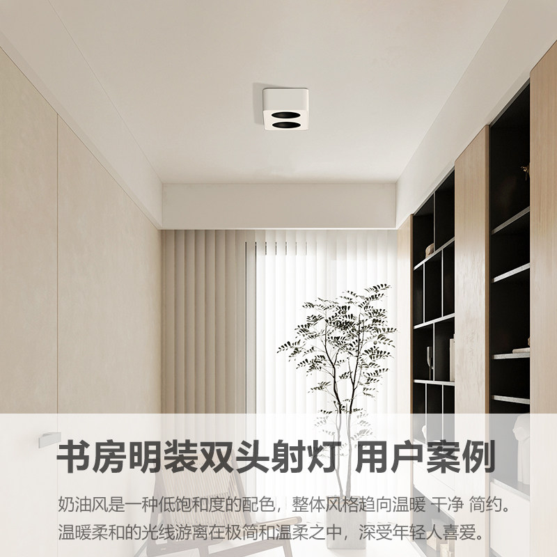 禾品超薄明装双头斗胆灯无主灯客厅射灯照明卧室智能防眩两孔筒灯