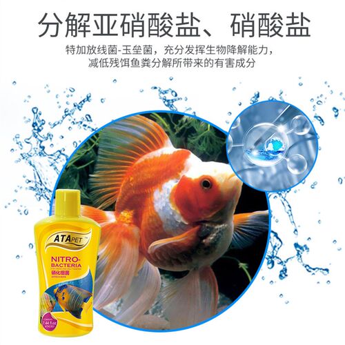 ATA硝化细菌鱼缸益生菌分解饲料残渣鱼粪便毒素净化水质降低氨氮