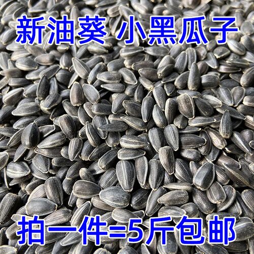 生黑珍珠小瓜子 油葵籽 鹦鹉鸟食仓鼠零食鸟粮鸽粮 包邮5斤