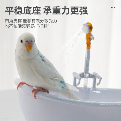 鹦鹉洗澡盆自动循环小鸟洗澡盆大号电动洗澡神器鹦鹉玩具解闷自嗨
