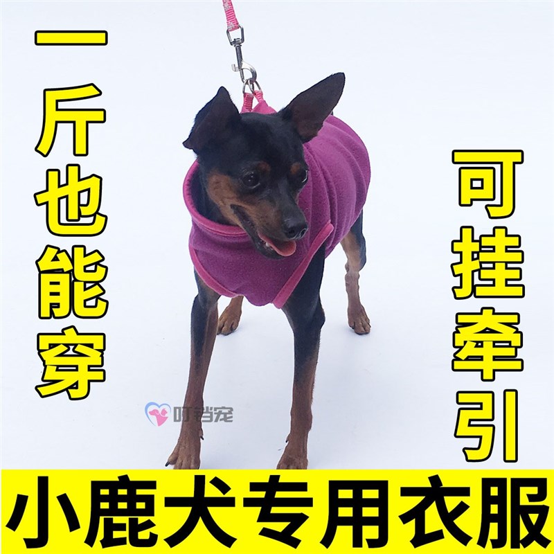 小鹿犬专用衣服冬季加绒狗狗秋季马甲背心带牵引环扣冬天迷你小体图片