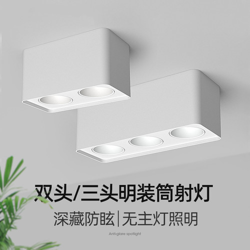 适用欧瑞博绿米智能吸顶灯极简无主灯客厅明装三头四头斗胆灯射灯