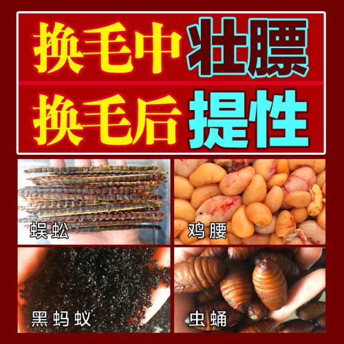 斗雀王手工画眉鸟食画眉鸟饲料  唱鸟料斗鸟料提性壮膘换毛料500g