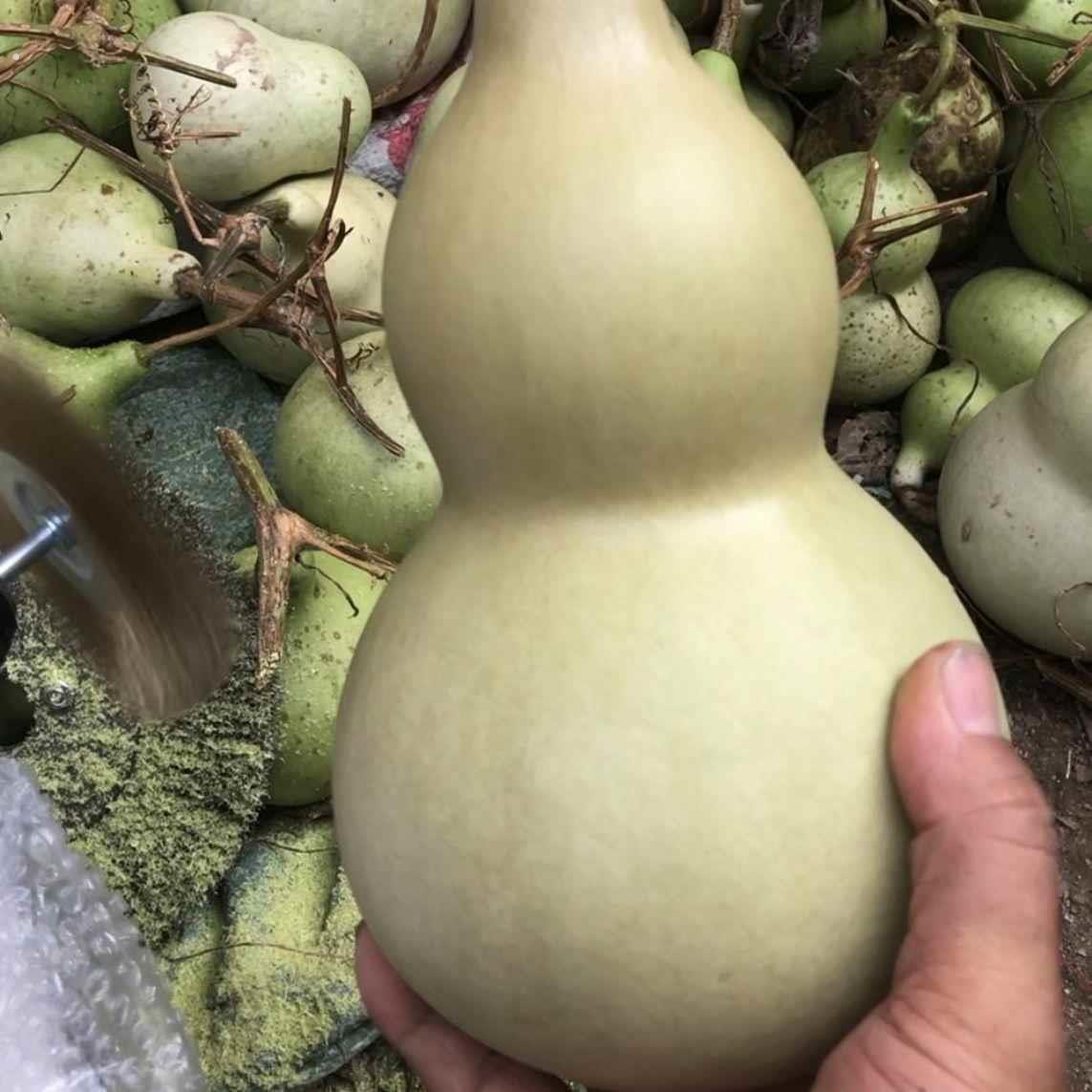 葫芦打皮神器手电钻机钢丝刷大葫芦去皮文玩手捻把玩小葫芦去皮刷