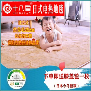 十八番地式电热地毯地暖垫仿动日暖加热地毯加热垫地热毯移兔毛绒