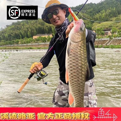 D魔泛用多节旅行路亚L紫雷734L+/UL-RF/604竿绿魔U路563L/UD503UL