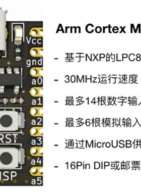 NXP LPC845单片机开发板 小系统板 迷你核心板 学习板ARM实验板
