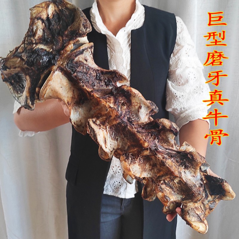 宠物手工零食狗磨牙帮 大型犬牛骨头牛棒骨耐咬阿拉斯加洁齿骨咬