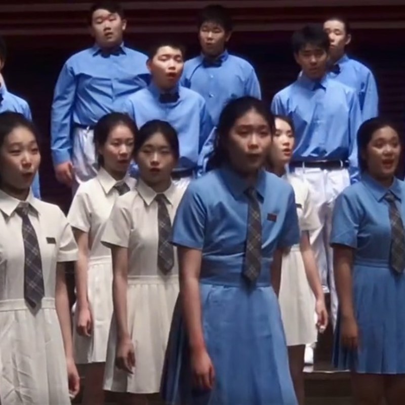 新款儿童合唱服/小学生/初中生/中学生长裙/诗歌/表演合唱团服装
