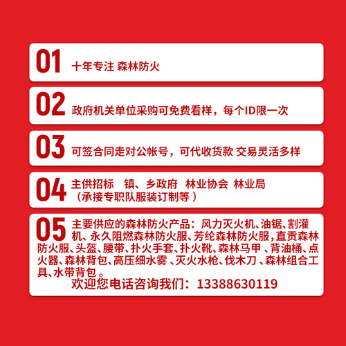 背油桶 背负式加油器汽油桶柴油桶背包式铁皮油桶 背油桶10L