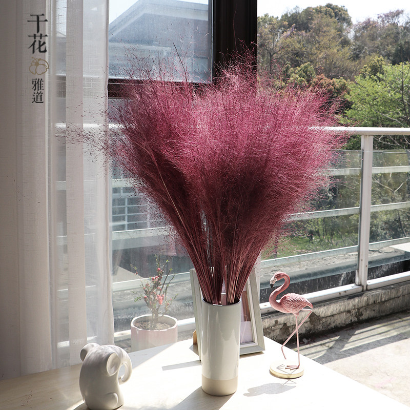 网红粉黛乱子草干花染色干花展会场景布置装饰客厅摆设花拍摄道具