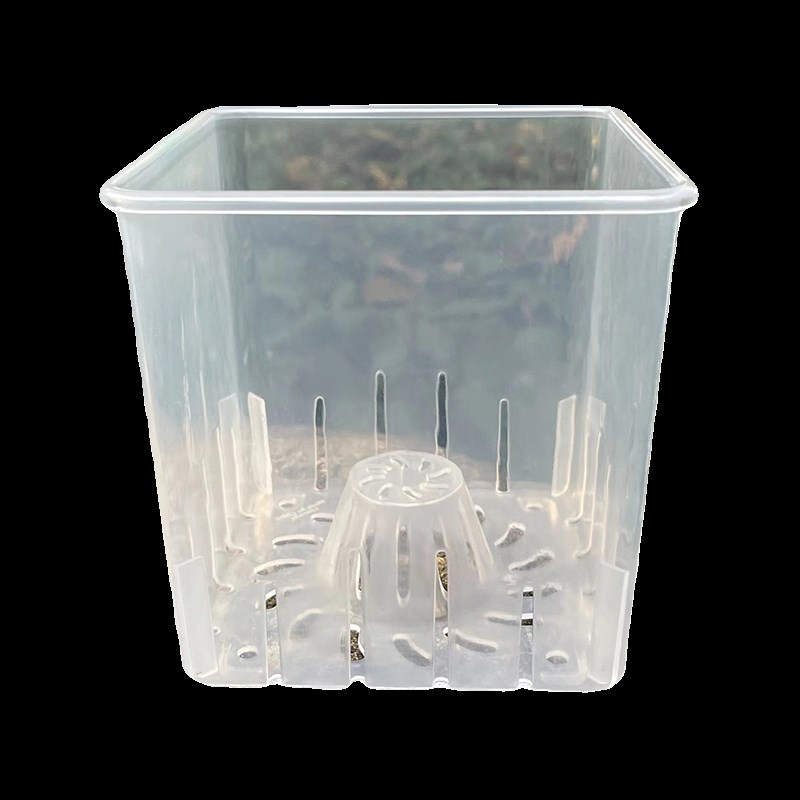 方形透明花盆青山控根盆塑料水培绿萝蝴蝶兰洋兰花专用花盆小方盆图片