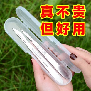 多肉砍头刀嫁接刀芽接刀月季嫁接工具十二卷分株多肉植物砍头专用