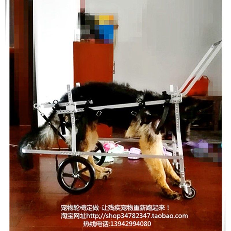 大型残疾宠物代步车/大狗助行轮椅宠物代步车/四肢瘫痪宠物代步车