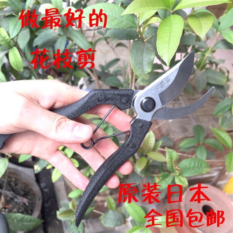 日本清鹤花枝剪 园艺剪树枝 修花工业DIY剪刀 摘果园林用