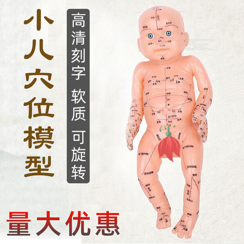 中医小儿推拿按摩模型月嫂培训宝宝模型保健经络保健穴位教学工具