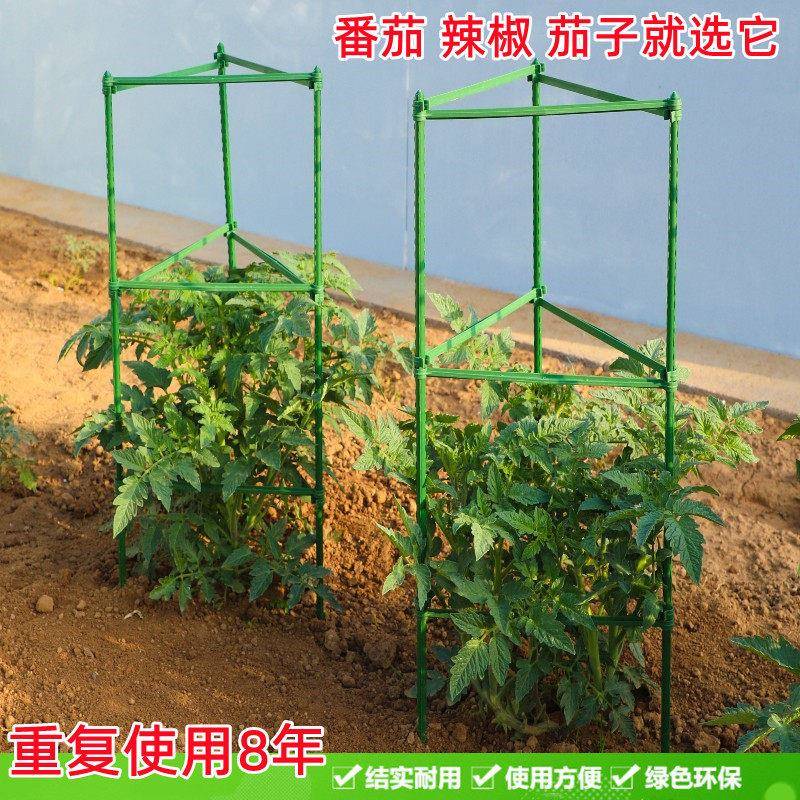 番茄架番茄杆茄子辣椒种植支架爬藤架月季花支架花卉植物固定架