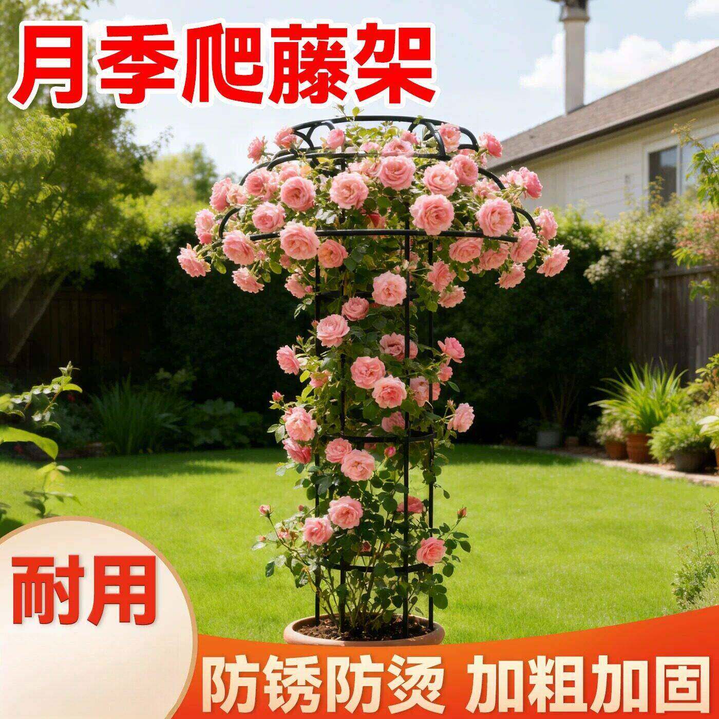 月季爬藤架植物攀爬架伞形花架支撑杆铁线莲飘香藤蔷薇固定花支架