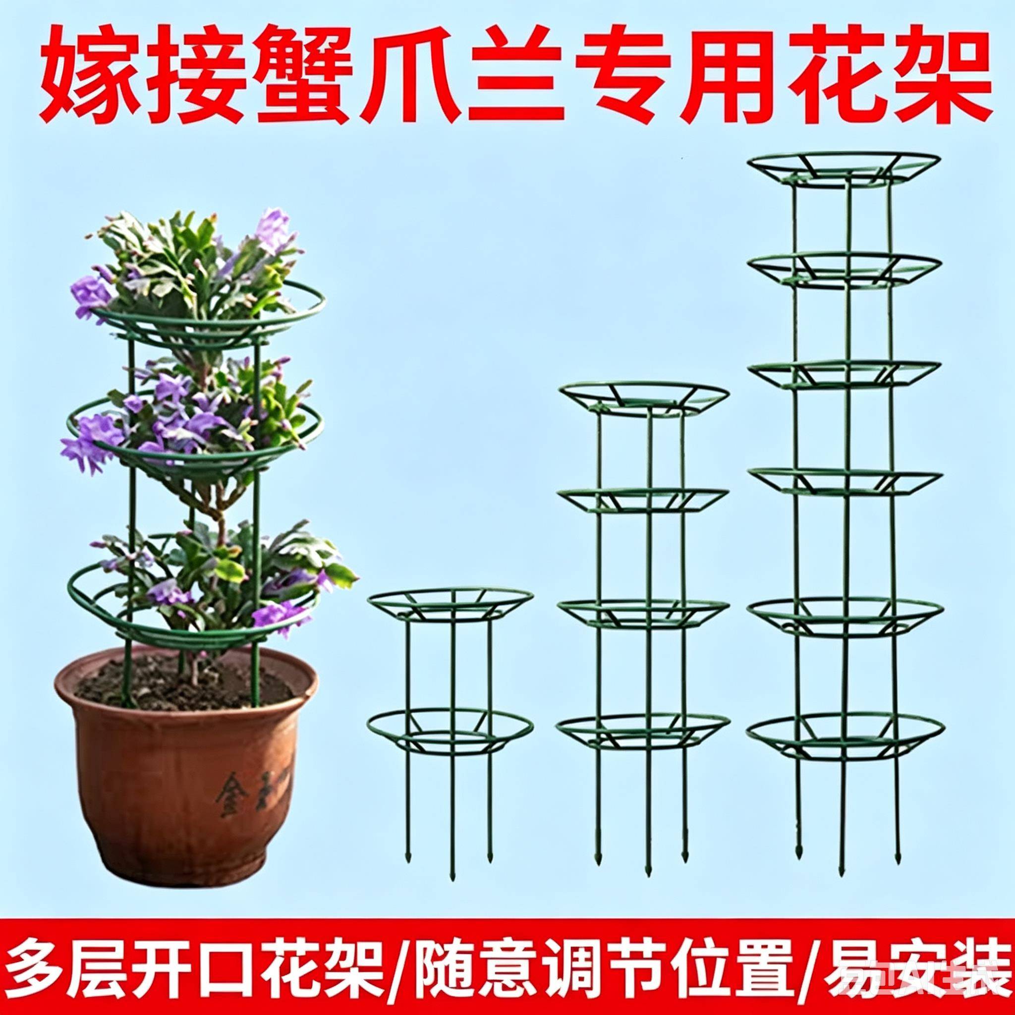 嫁接蟹爪兰专用花架爬藤支架蟹爪莲支撑架多层可拼接加粗铁艺花架