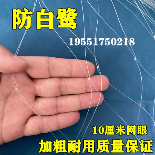 鱼塘防鹭用网青蛙养殖场防白鸟10公分网眼防鸟网网鱼塘天天防护网